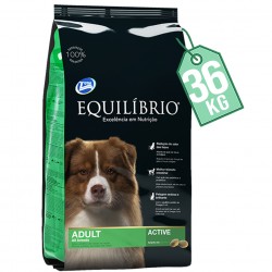 Adulto Active 36 kg EQUILIBRIO