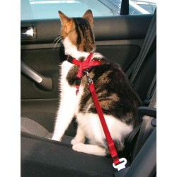 Arnes de Auto para Gato