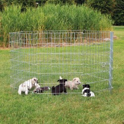 Corral para Cachorros