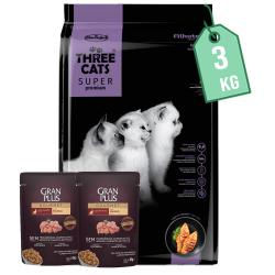 Gatitos 3 kg Three Cats