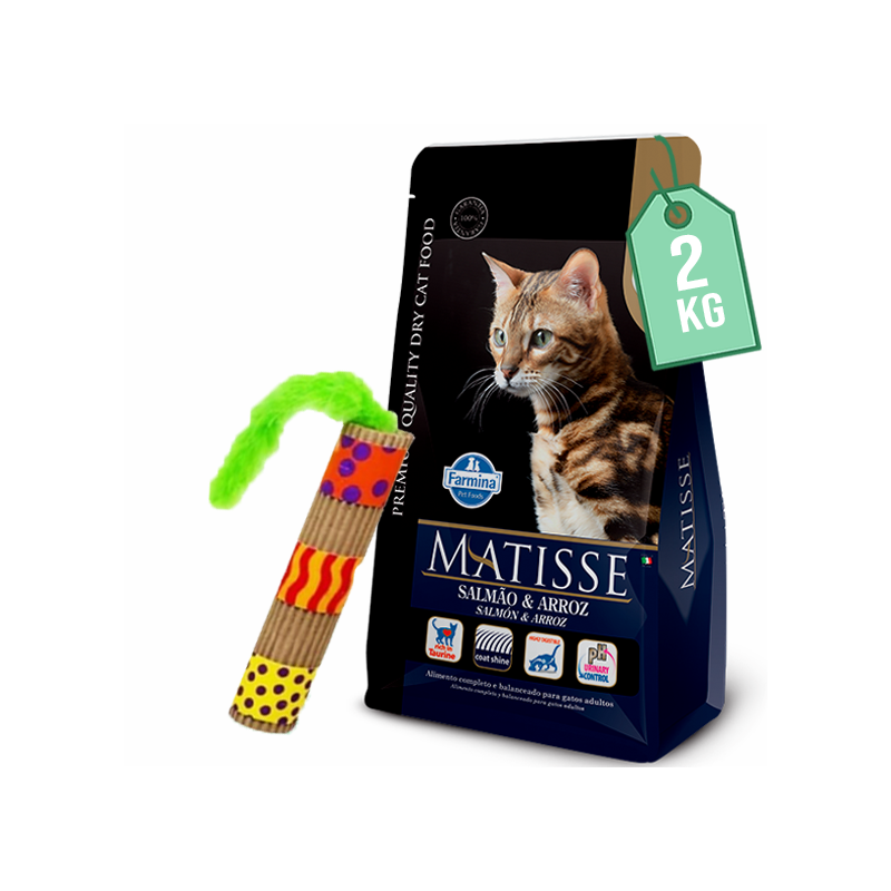 Adulto Salmon y Arroz 2 Kg Matisse